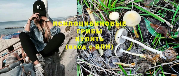 mdpv Балабаново