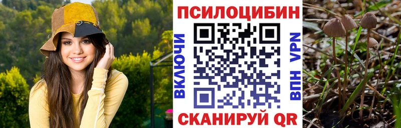 купить наркотик  Мценск  Галлюциногенные грибы ЛСД 