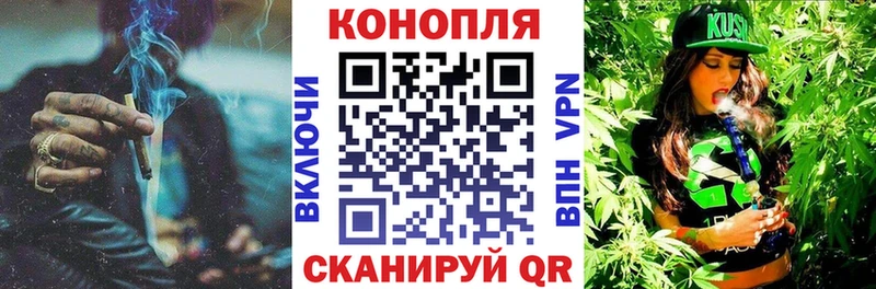 Бошки Шишки SATIVA & INDICA  где продают наркотики  Мценск 